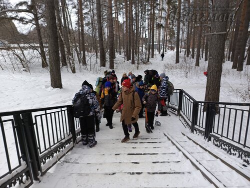 IMG_20260208_105621_658